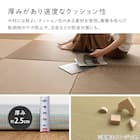 い草×PP置き畳 綾瀬 2枚セット(グリーン) 9枚目画像