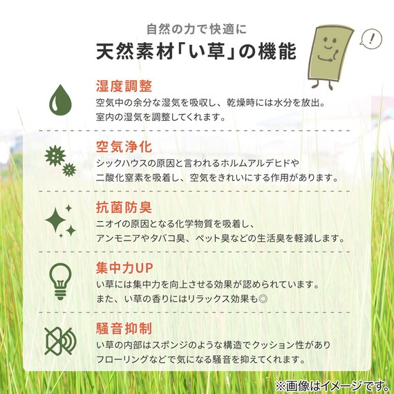 い草×PP置き畳 綾瀬 2枚セット(グリーン) 14枚目画像