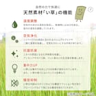 い草×PP置き畳 綾瀬 2枚セット(グリーン) 14枚目画像