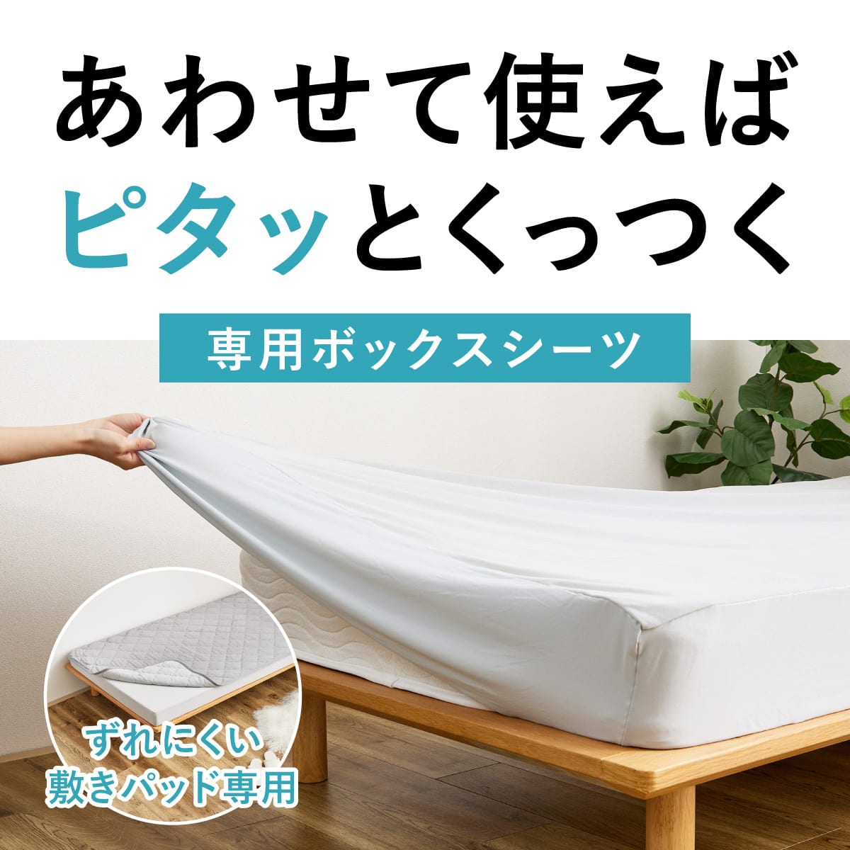 ずれにくい敷きパッド専用 ボックスシーツ セミダブル | ニトリネット