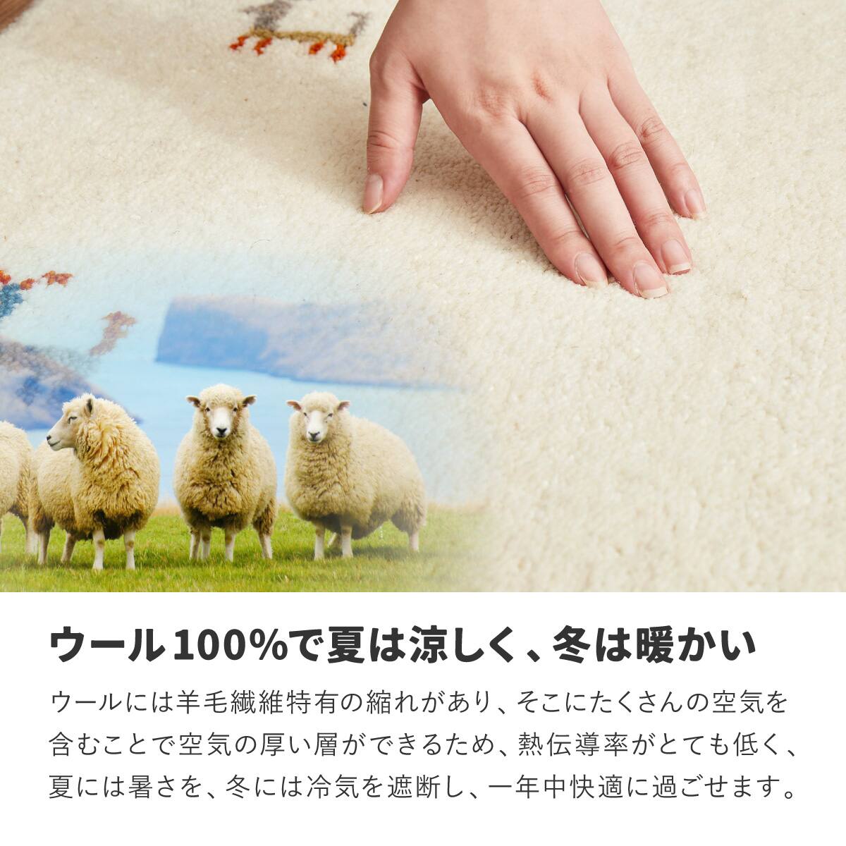 ウール100％ 横柄ギャッベ D21 玄関マット 60×90cm | ニトリネット
