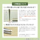 たためる い草置き畳 6面連結 150×225cm 17枚目画像