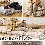 インド綿100%のごろ寝クッション (エスニックボーダー)