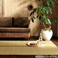 【国産】い草ラグ 沖縄ビーグ