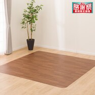 【多サイズから選べる】クッションフロアラグ E2-25034