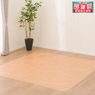 【多サイズから選べる】クッションフロアラグ E2-25046