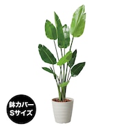 フェイクグリーン(高さ120cm オーガスタ 1520)