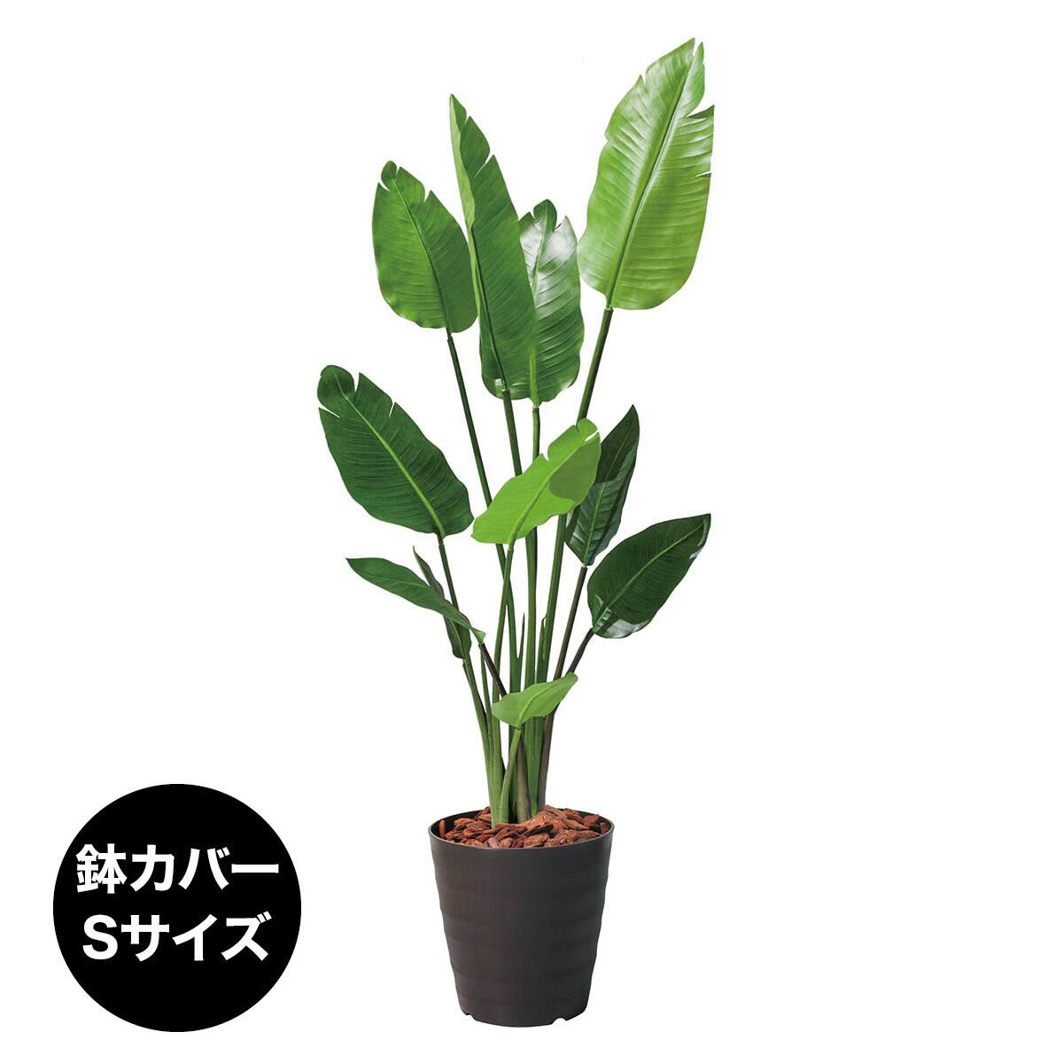 フェイクグリーン(高さ120cm オーガスタ 1520BRL) | ニトリネット