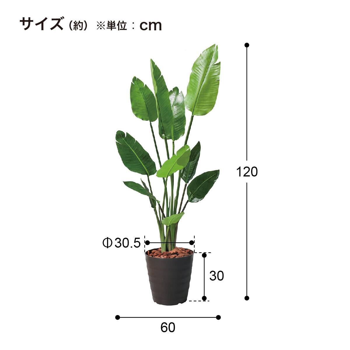【美品】大阪守口市引取限定　フェイクグリーン　オーガスタ 約230cm 観葉植物 フェイクグリーン(高さ120cm オーガスタ 1520BRL) | ニトリネット