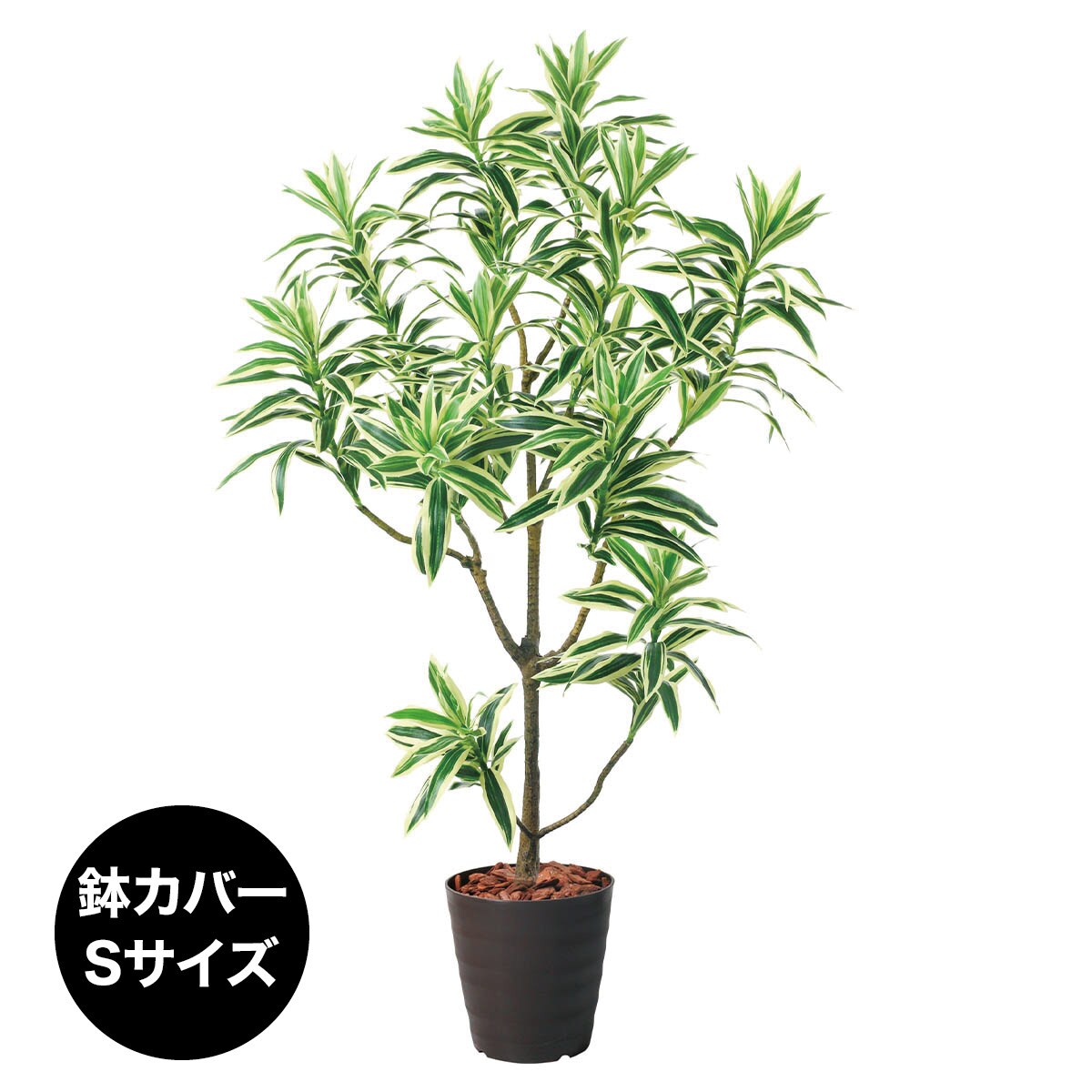 フェイクグリーン(高さ120cm ドラセナインディア BRL) | ニトリネット