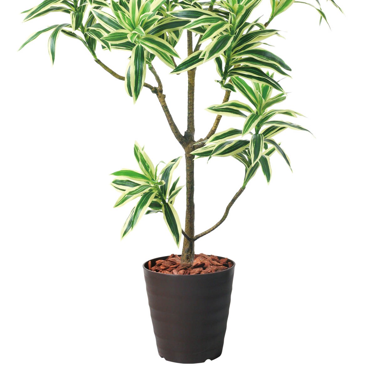 フェイクグリーン(高さ120cm ドラセナインディア BRL) | ニトリネット