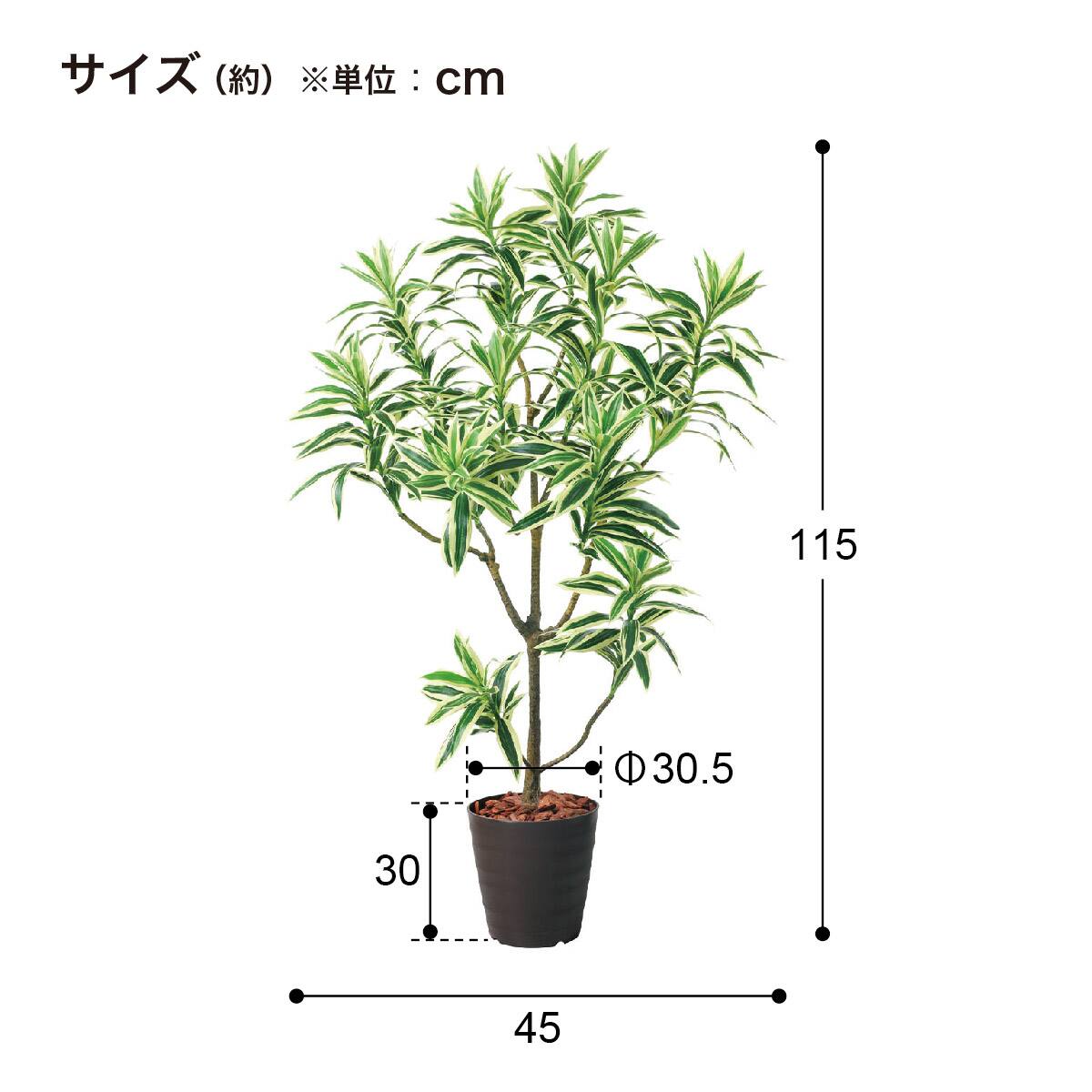 フェイクグリーン(高さ120cm ドラセナインディア BRL) | ニトリネット