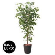 フェイクグリーン(高さ180cm ベンジャミンフィカス 1290)