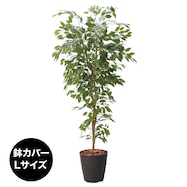 フェイクグリーン(高さ180cm ベンジャミンフィカス 1290)