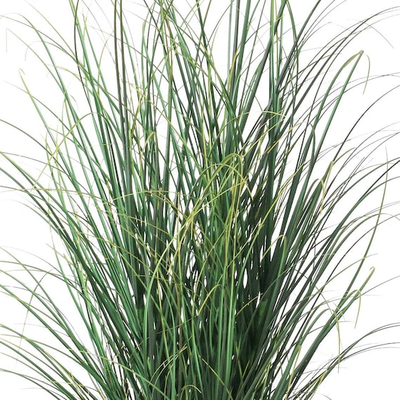 フェイクグリーン(高さ88cm カレックスポット GLA-1563) 2枚目画像