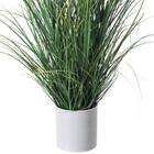 フェイクグリーン(高さ88cm カレックスポット GLA-1563) 3枚目画像