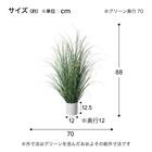 フェイクグリーン(高さ88cm カレックスポット GLA-1563) 4枚目画像