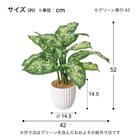 フェイクグリーン(高さ52cm デフェンバキアポット GLA-1565) 4枚目画像