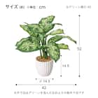フェイクグリーン(高さ52cm デフェンバキアポット GLA-1565) 4枚目画像