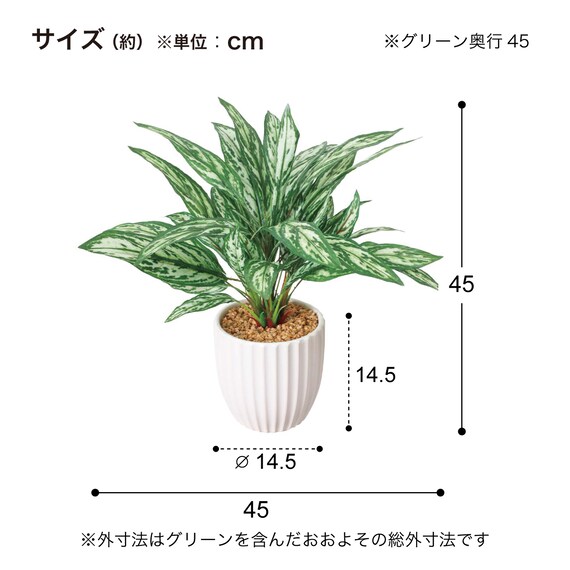 フェイクグリーン(高さ45cm アグラオネマポット GLA-1566) 4枚目画像