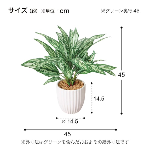 フェイクグリーン(高さ45cm アグラオネマポット GLA-1566) 4枚目画像