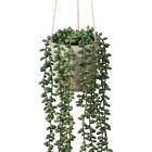 フェイクグリーン(ハンキングポット GLA-1569 ネックレス) 2枚目画像