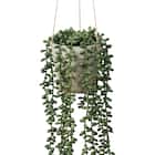 フェイクグリーン(ハンキングポット GLA-1569 ネックレス) 2枚目画像