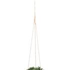 フェイクグリーン(ハンキングポット GLA-1569 ネックレス) 4枚目画像