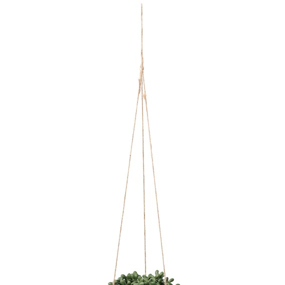 フェイクグリーン(ハンキングポット GLA-1569 ネックレス) 4枚目画像