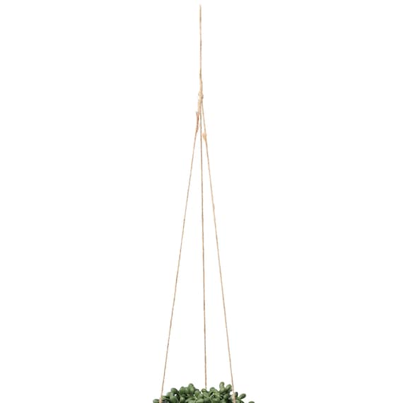 フェイクグリーン(ハンキングポット GLA-1569 ネックレス) 4枚目画像