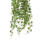 フェイクグリーン(ハンキングポット GLA-1570 ペペロミア) 3枚目画像