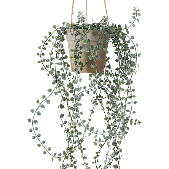 フェイクグリーン(ハンキングポット GLA-1571 ディスキディア) 2枚目画像