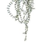 フェイクグリーン(ハンキングポット GLA-1571 ディスキディア) 3枚目画像