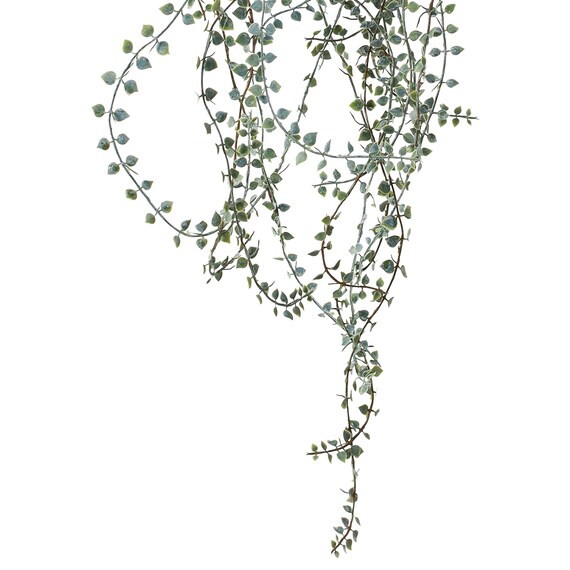 フェイクグリーン(ハンキングポット GLA-1571 ディスキディア) 3枚目画像