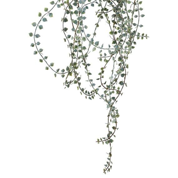 フェイクグリーン(ハンキングポット GLA-1571 ディスキディア) 3枚目画像