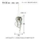 フェイクグリーン(ハンキングポット GLA-1571 ディスキディア) 5枚目画像