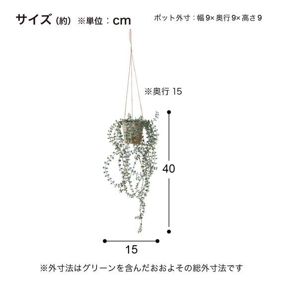 フェイクグリーン(ハンキングポット GLA-1571 ディスキディア) 5枚目画像