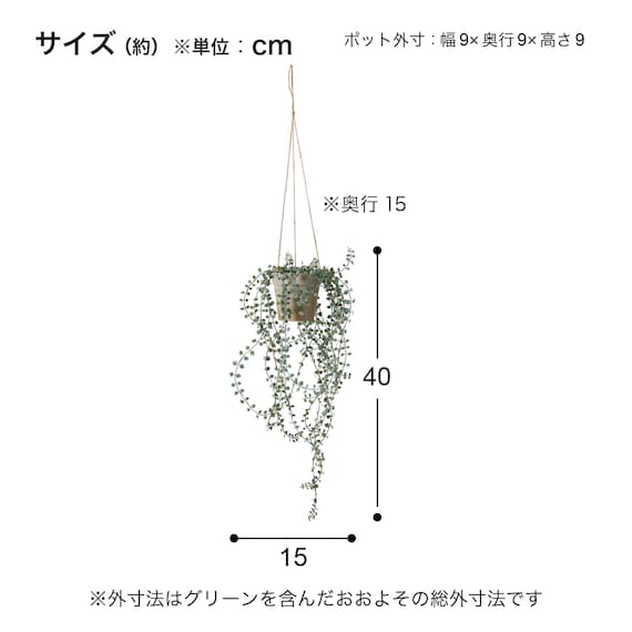 フェイクグリーン(ハンキングポット GLA-1571 ディスキディア) 5枚目画像