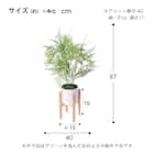 フェイクグリーン(高さ67cm アスパラガスポット GLA-1572 ) 4枚目画像