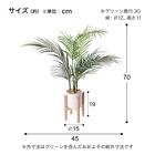 フェイクグリーン(高さ70cm アレカヤシポット GLA-1574 ) 5枚目画像