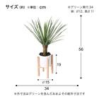 フェイクグリーン(高さ56cm アガベポット GLA-1575 ) 4枚目画像