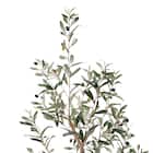 フェイクグリーン(高さ180cm オリーブ GLP-1561) 2枚目画像