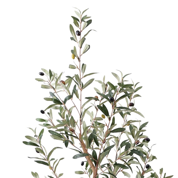 フェイクグリーン(高さ180cm オリーブ GLP-1561) 2枚目画像