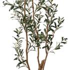 フェイクグリーン(高さ180cm オリーブ GLP-1561) 3枚目画像