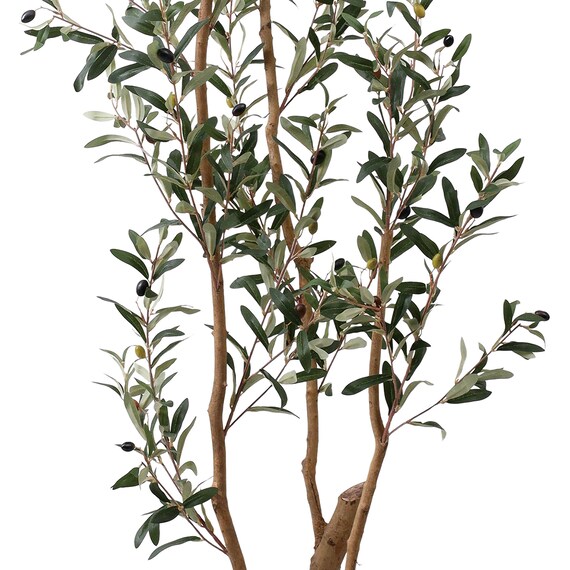 フェイクグリーン(高さ180cm オリーブ GLP-1561) 3枚目画像