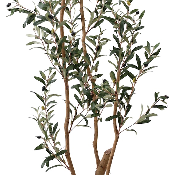 フェイクグリーン(高さ180cm オリーブ GLP-1561) 3枚目画像