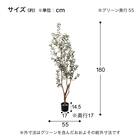 フェイクグリーン(高さ180cm オリーブ GLP-1561) 5枚目画像