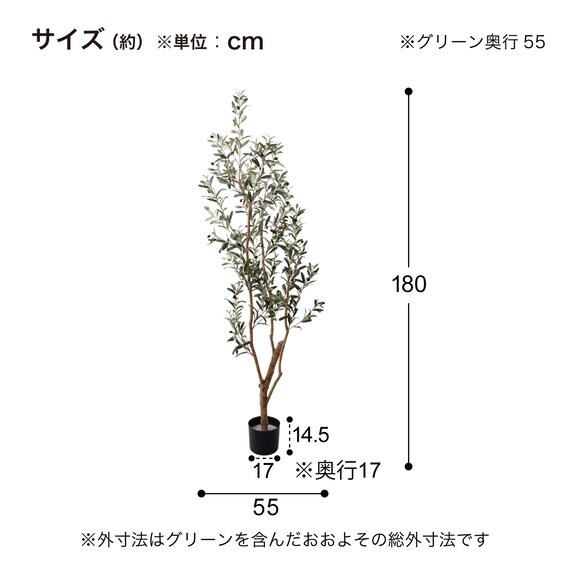 フェイクグリーン(高さ180cm オリーブ GLP-1561) 5枚目画像