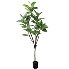 フェイクグリーン(高さ150cm フィカスアルテシマ GLP-1569) 1枚目画像