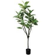 フェイクグリーン(高さ150cm フィカスアルテシマ GLP-1569)